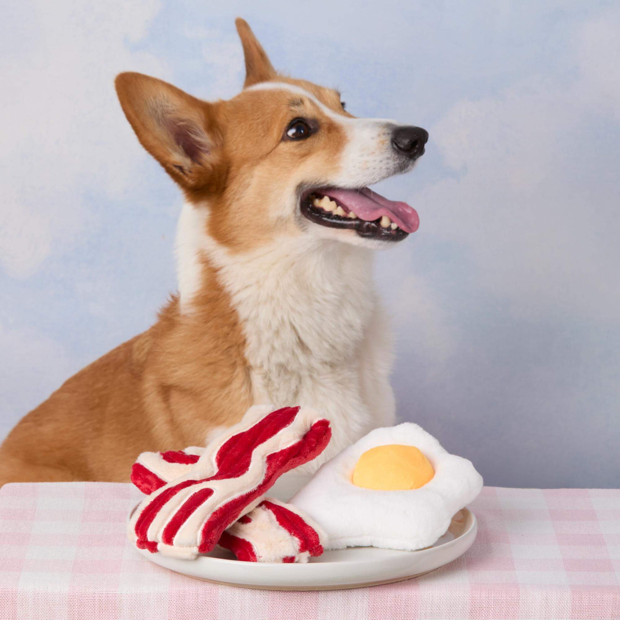 Bacon and Egg Interactive Toy Set