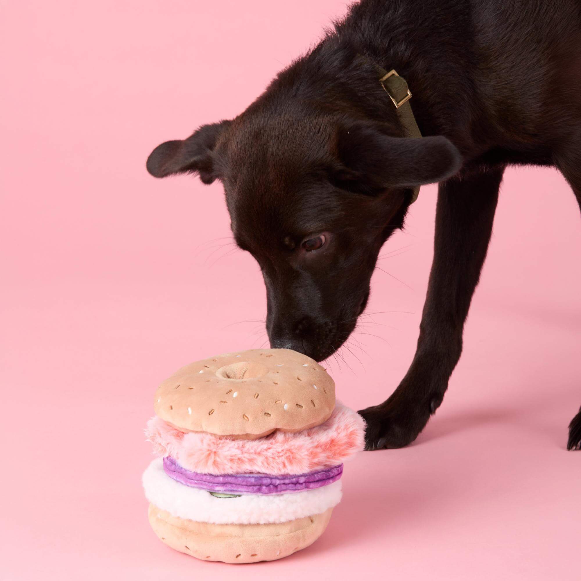 Bagel and Lox Interactive Snuffle Dog Toy