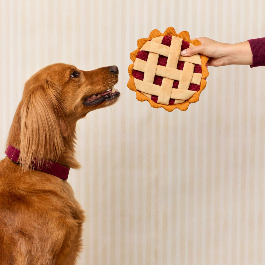 Berry Pie Interactive Snuffle Dog Toy