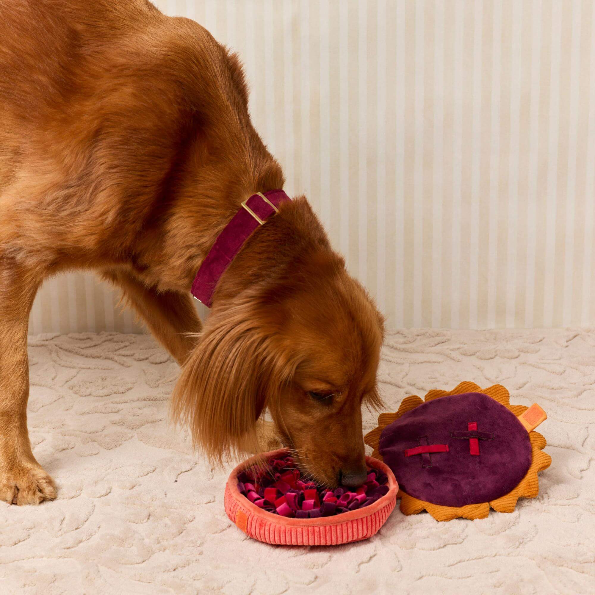 Berry Pie Interactive Snuffle Dog Toy