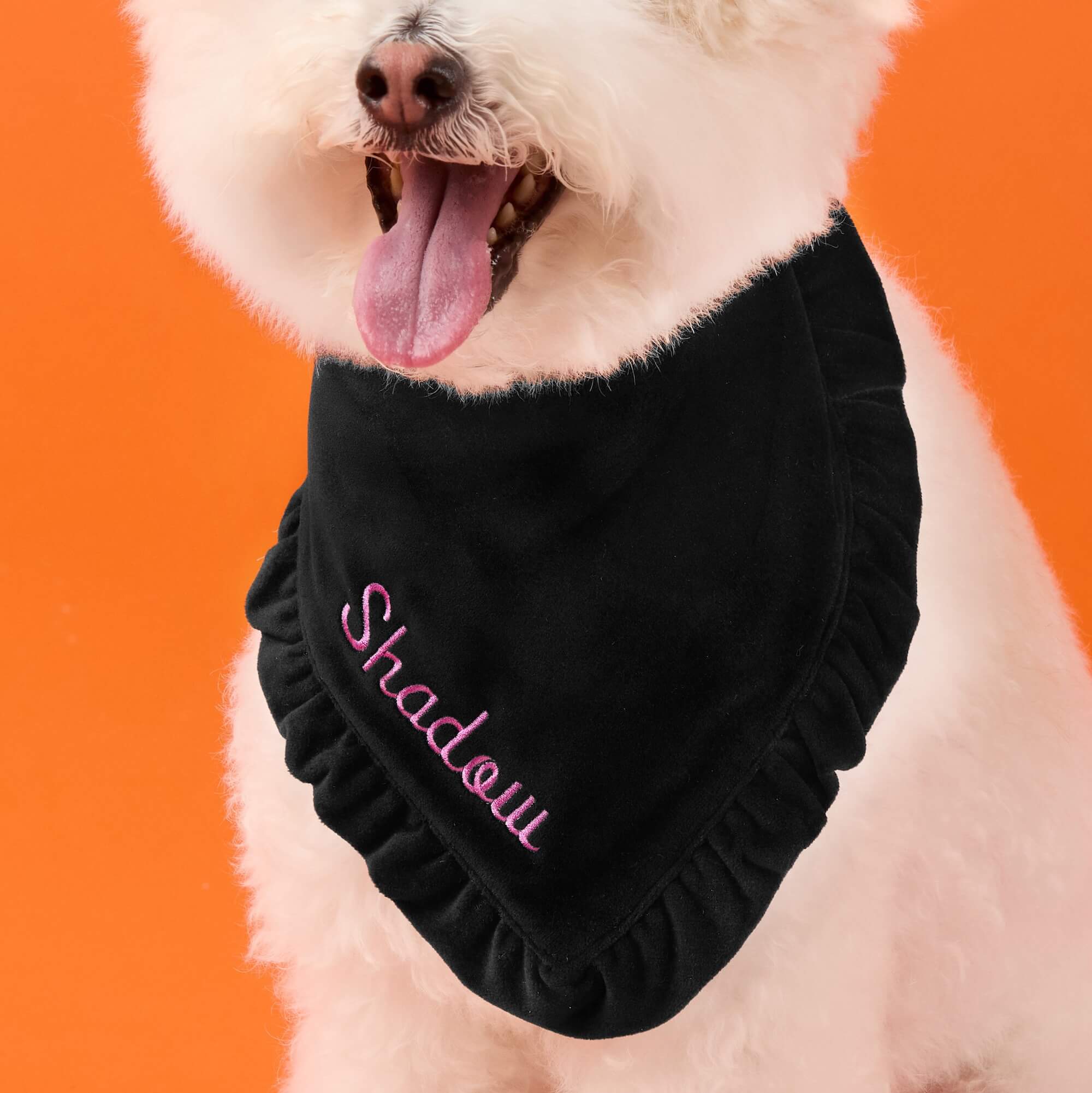 Black Velvet Ruffled Dog Bandana