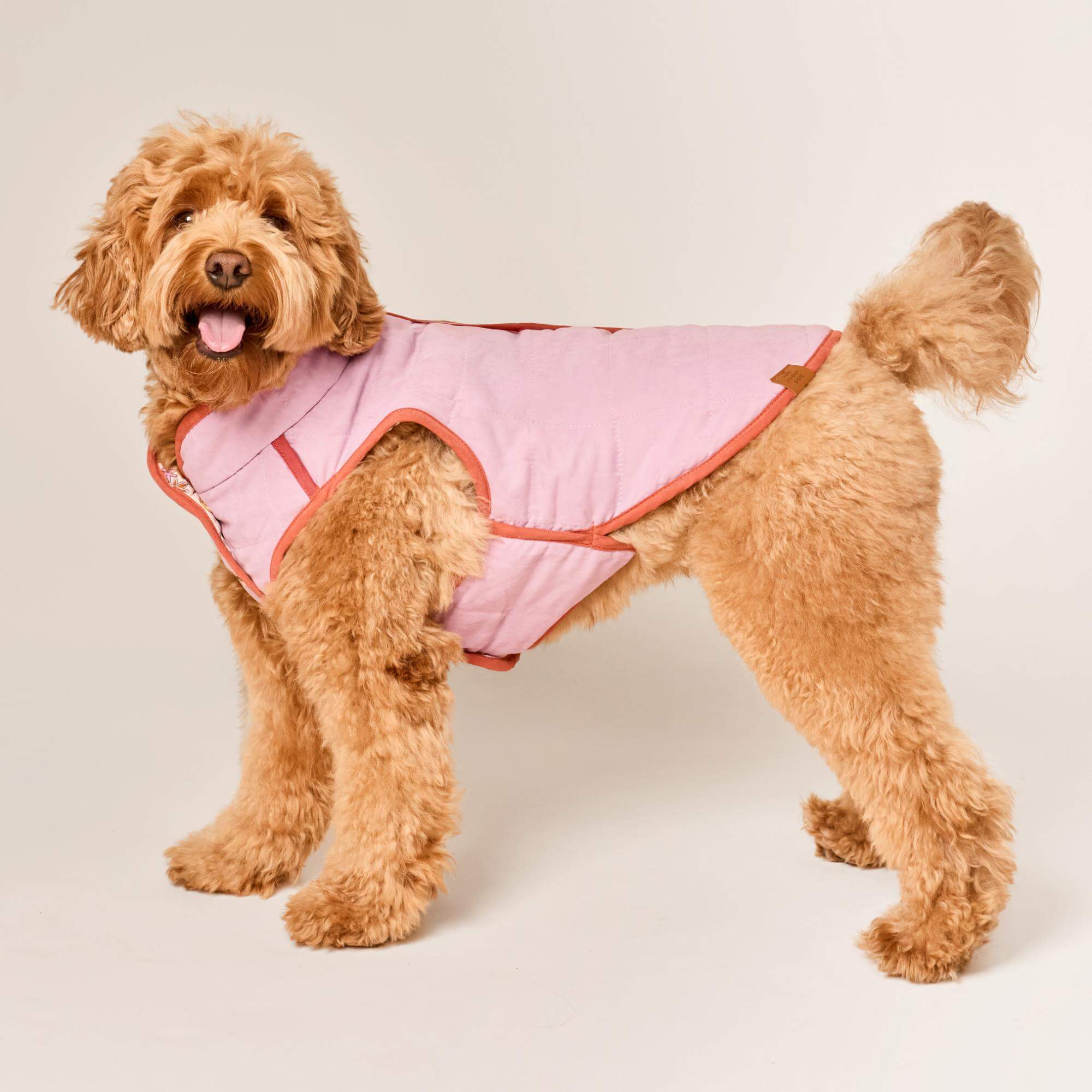 Blockprint Floral Reversible Dog Jacket