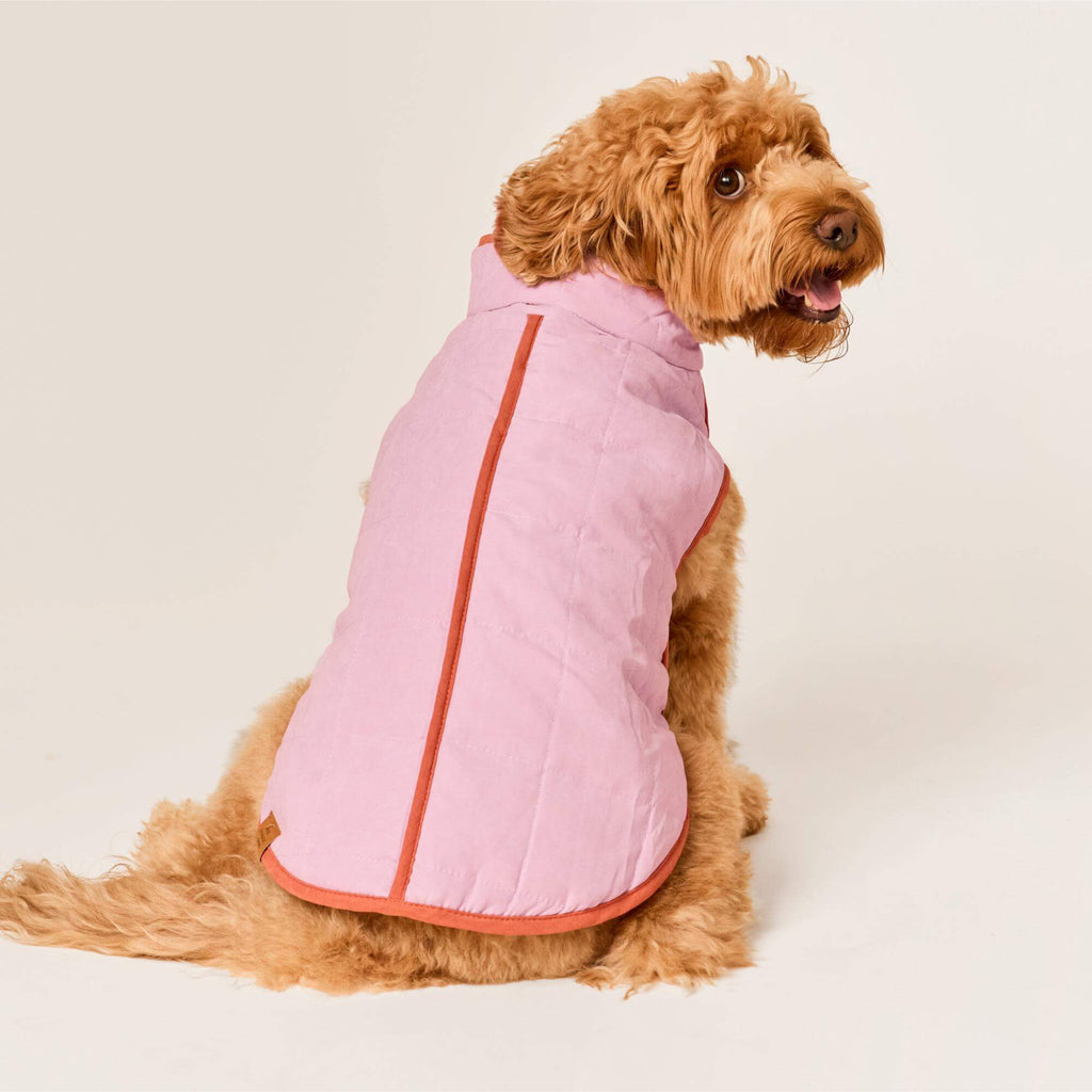Blockprint Floral Reversible Dog Jacket