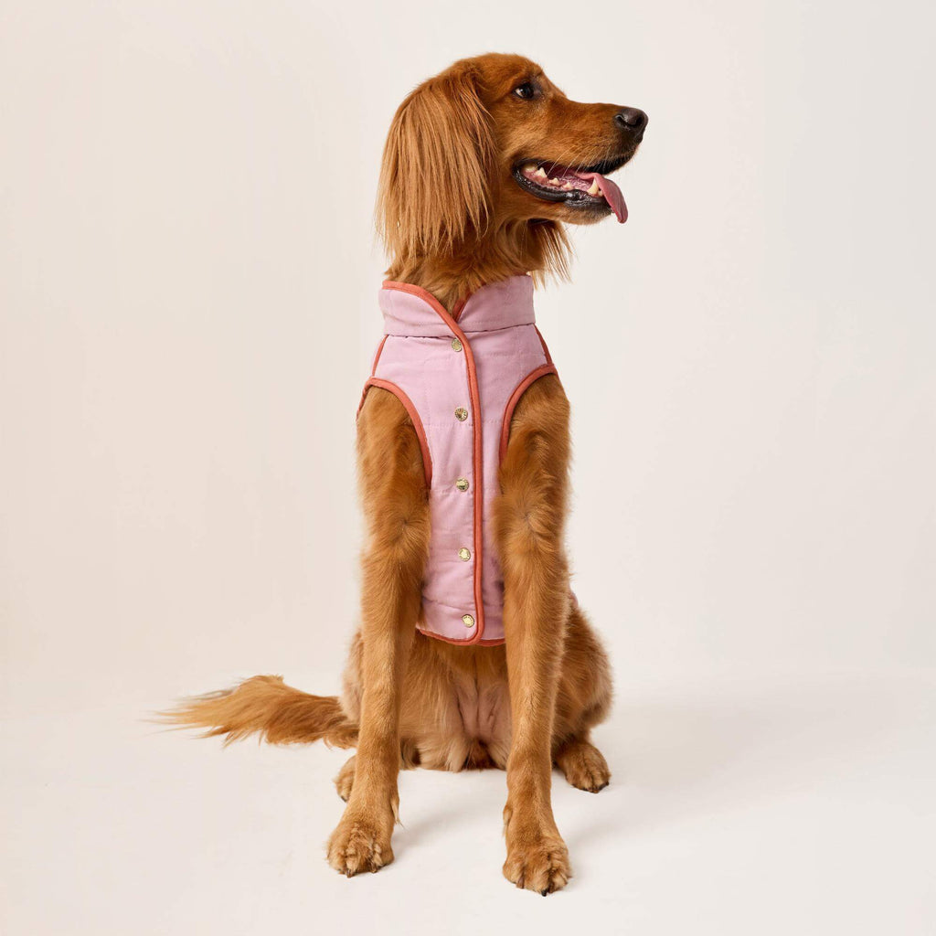 Blockprint Floral Reversible Dog Jacket