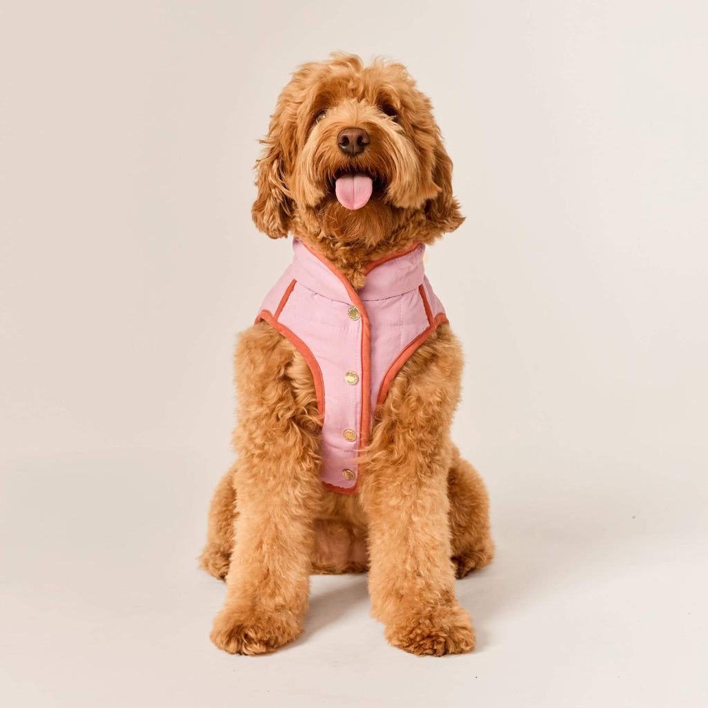 Blockprint Floral Reversible Dog Jacket