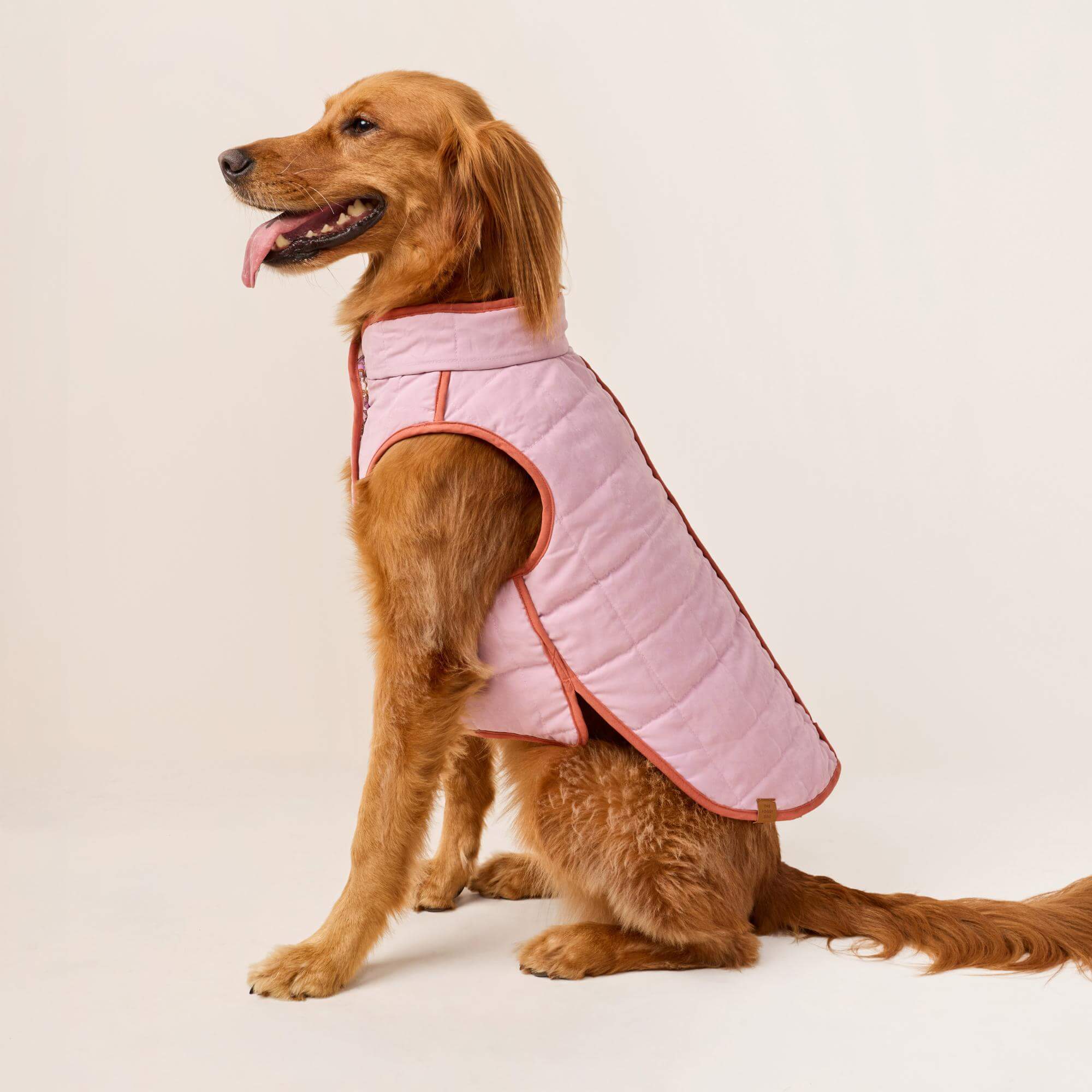 Blockprint Floral Reversible Dog Jacket