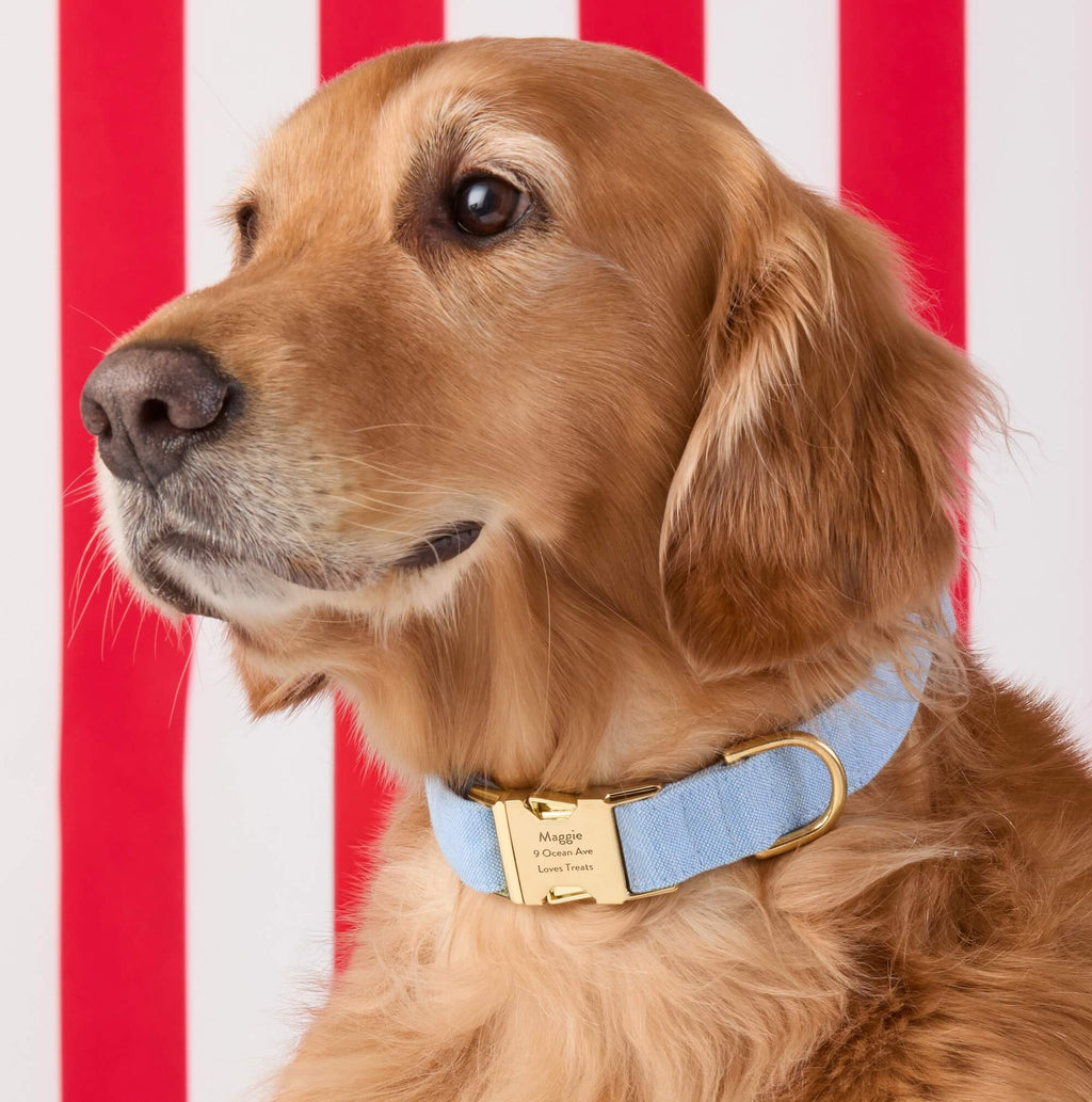 Blue Chambray Dog Collar