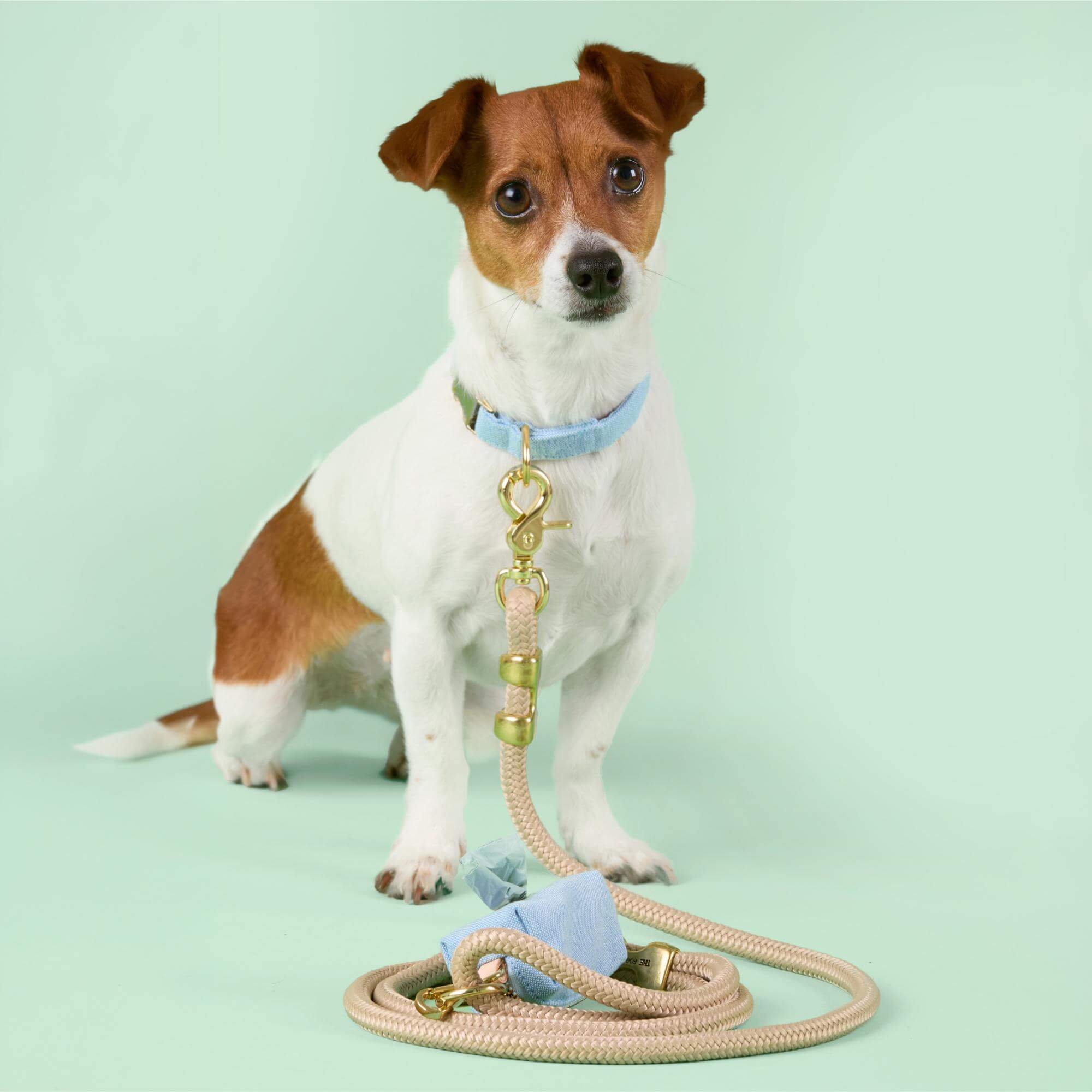 Blue Chambray Collar Walk Set