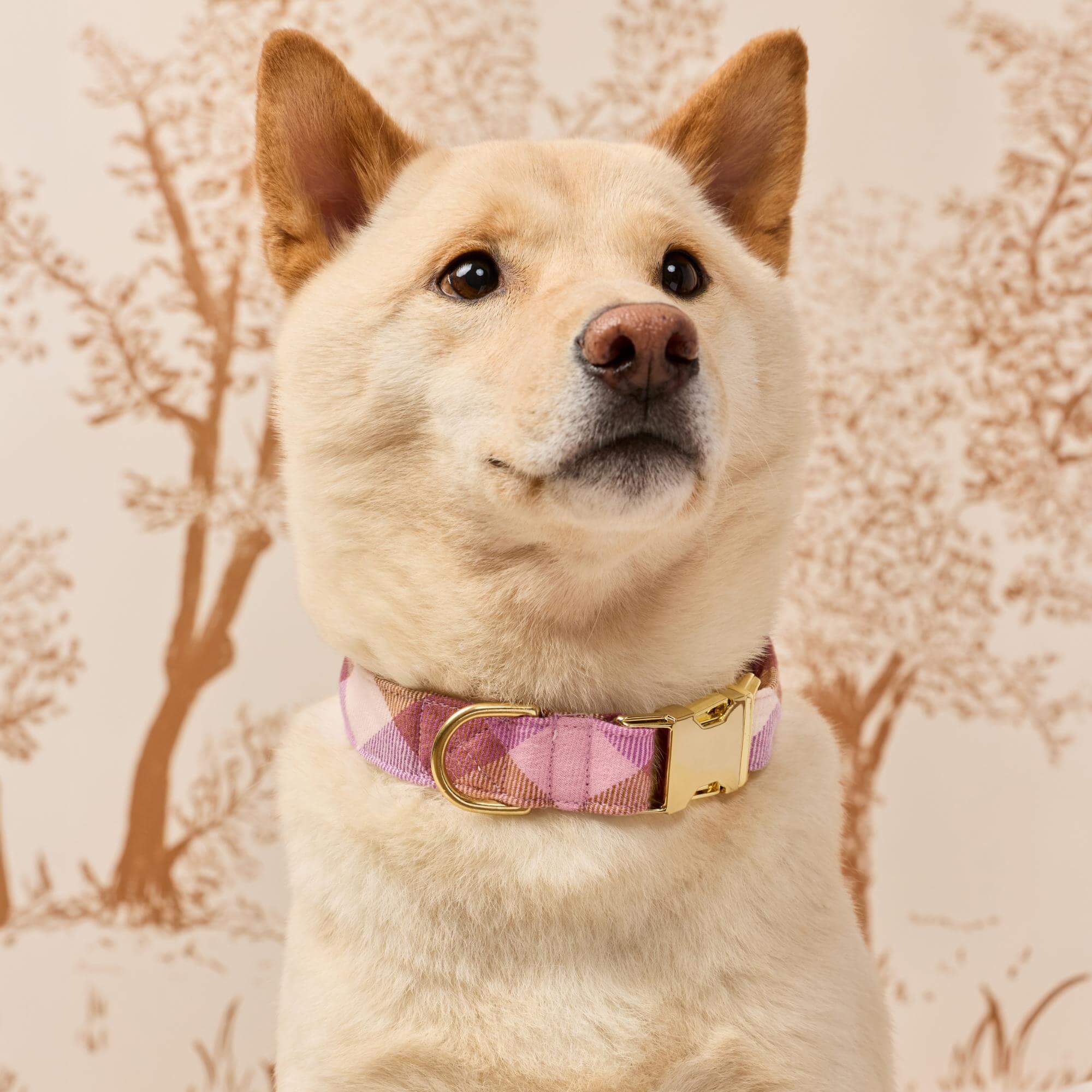 Bramble Flannel Dog Collar