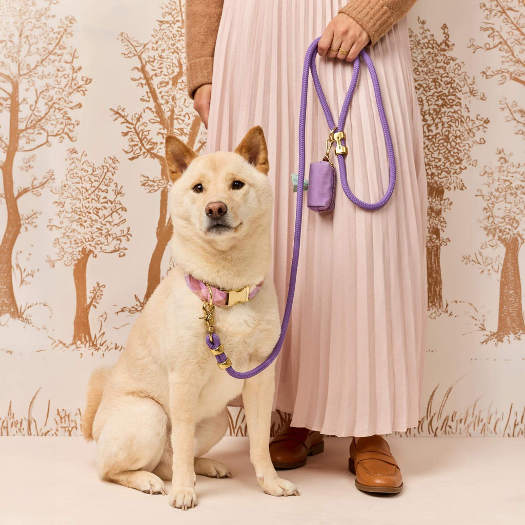Bramble Flannel Collar Walk Set