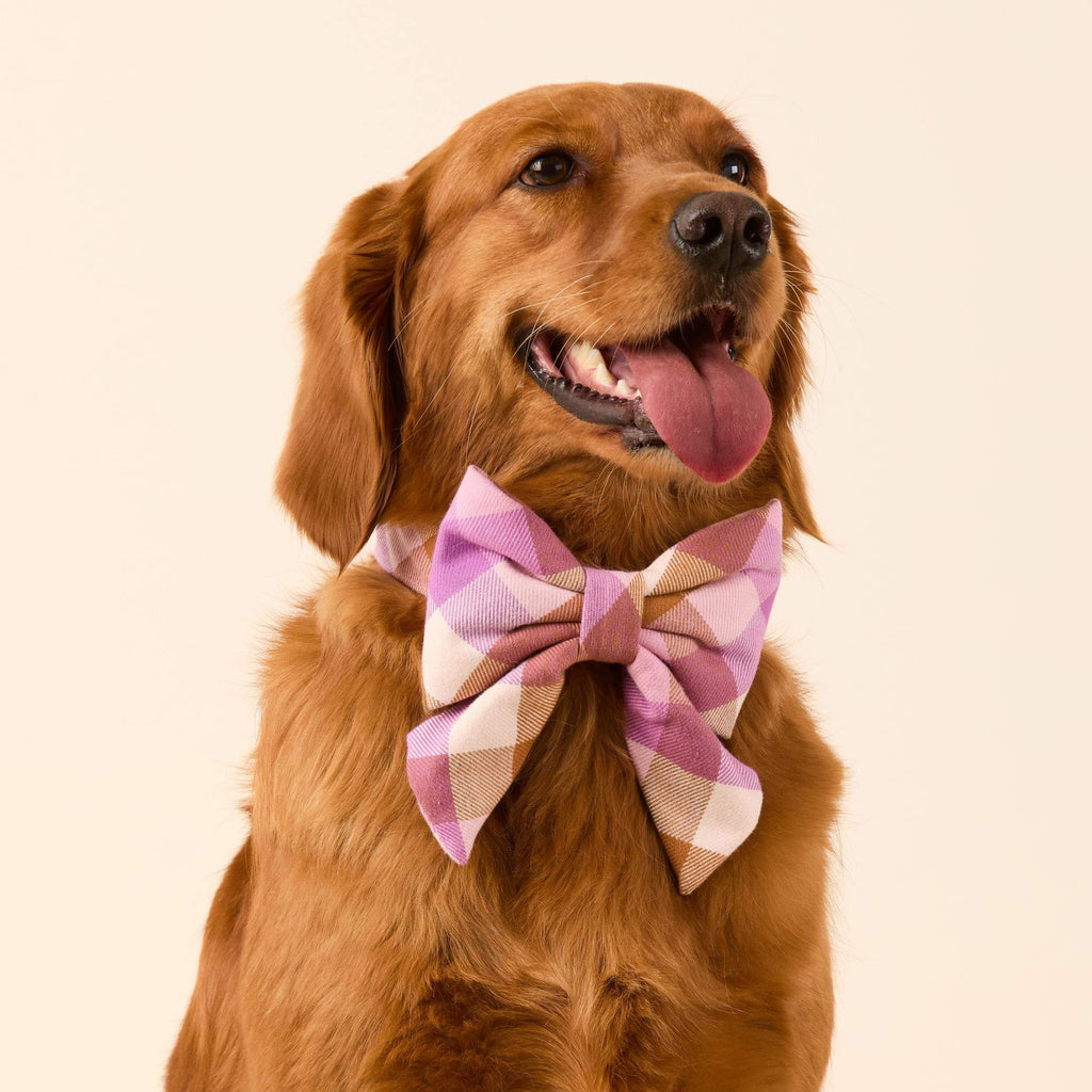 Bramble Flannel Lady Bow Collar