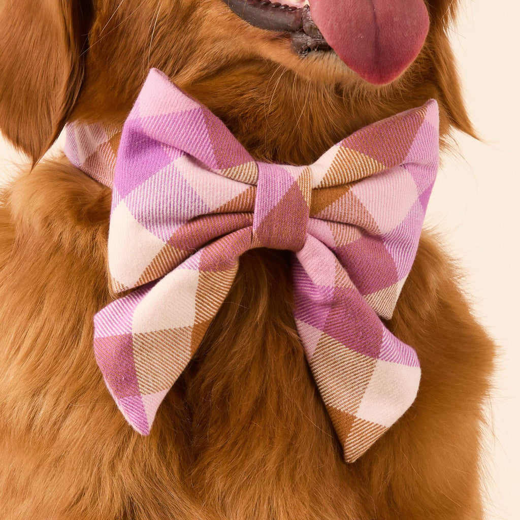 Bramble Flannel Lady Bow Collar