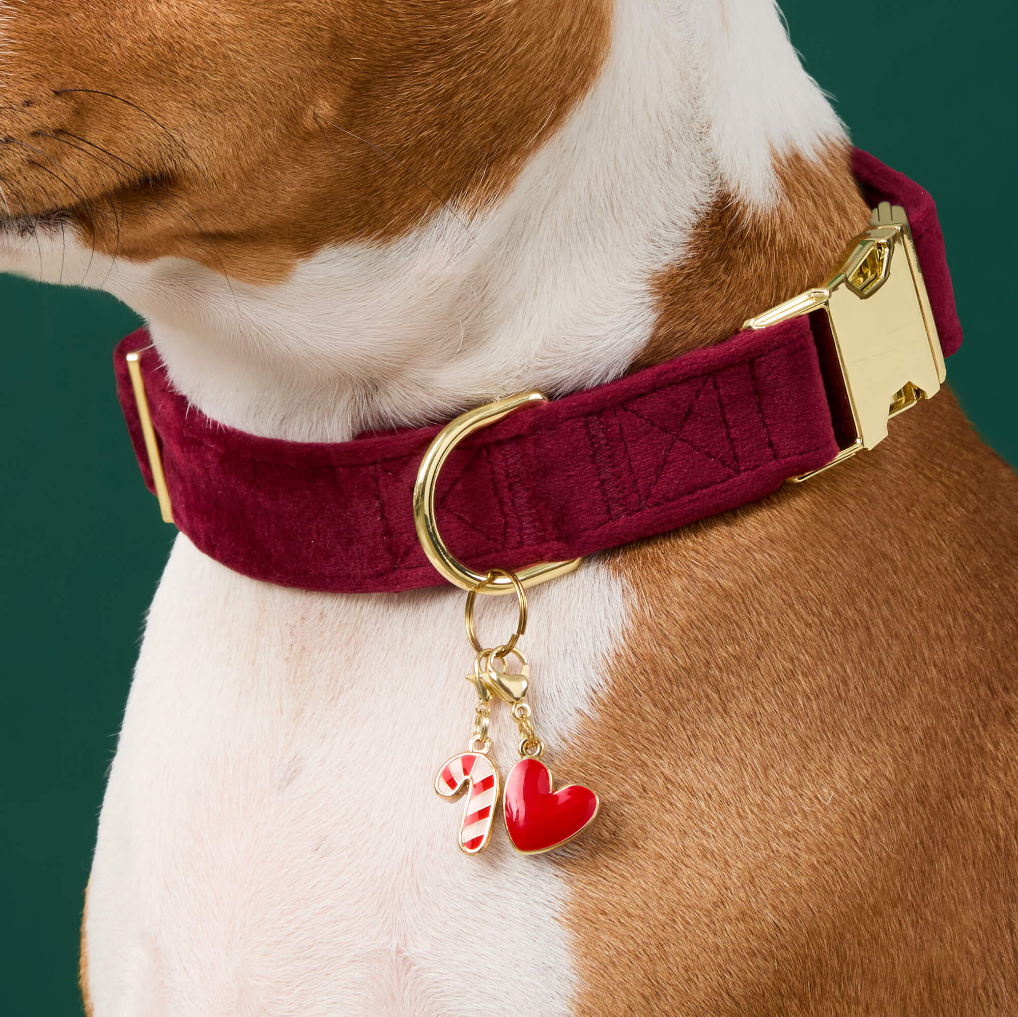 Burgundy Velvet Dog Collar