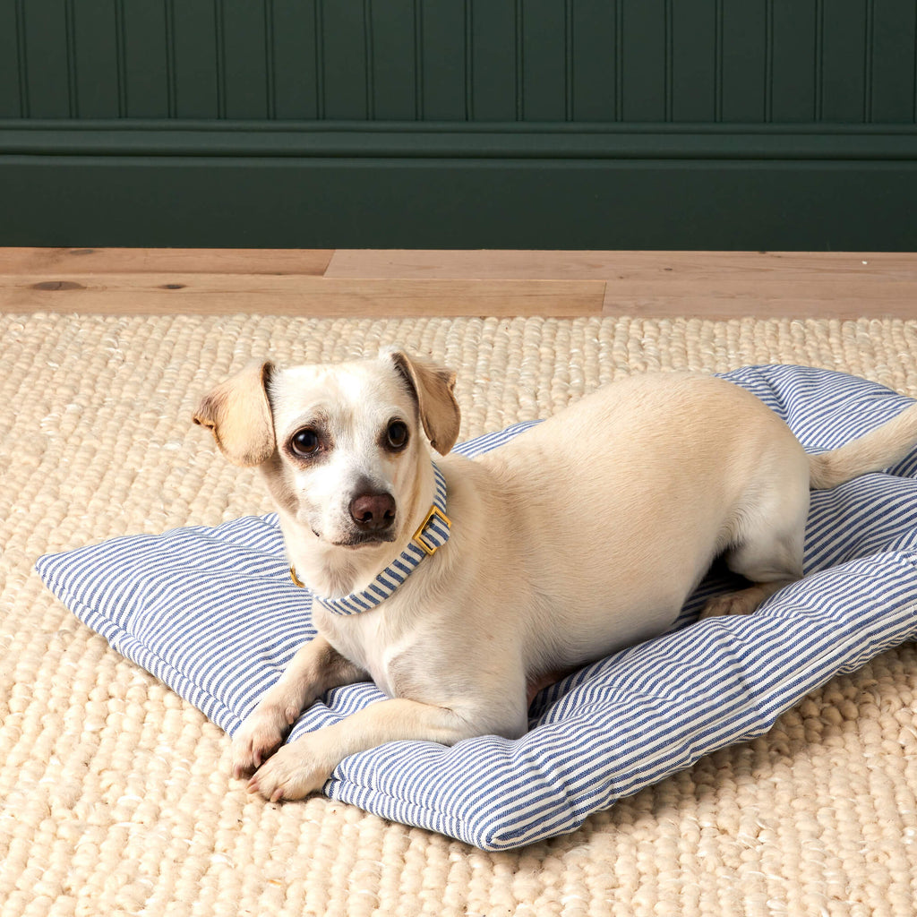 Lake Blue Stripe Dog Travel Mat