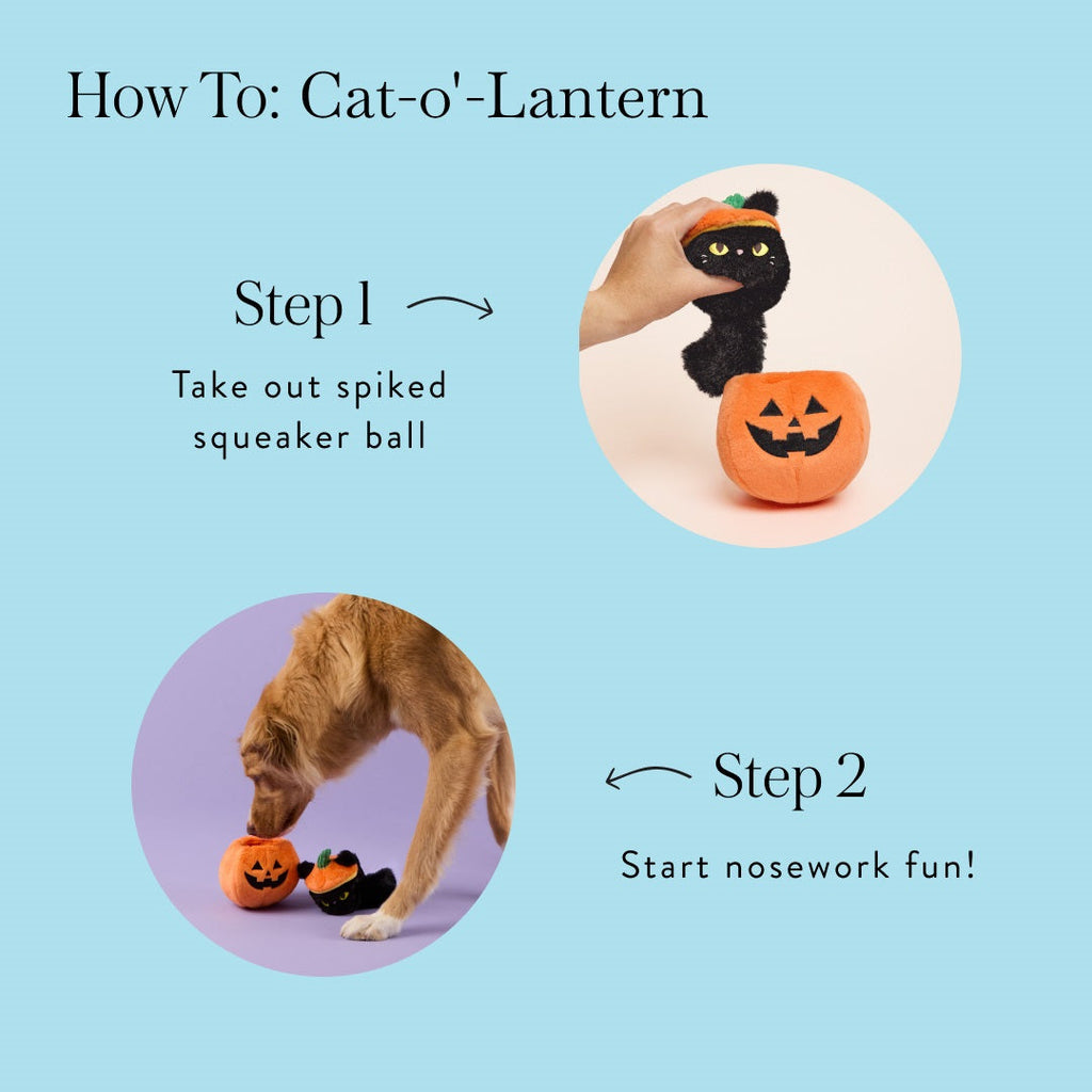 Trick-or-Treat Interactive Toy Set
