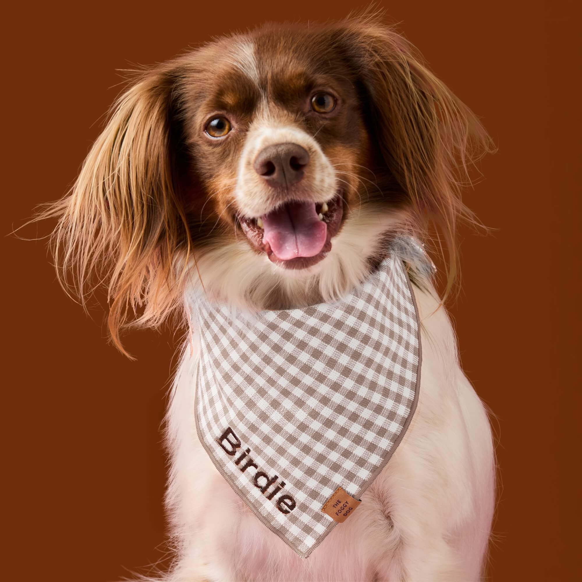 Mushroom Brown Gingham Dog Bandana