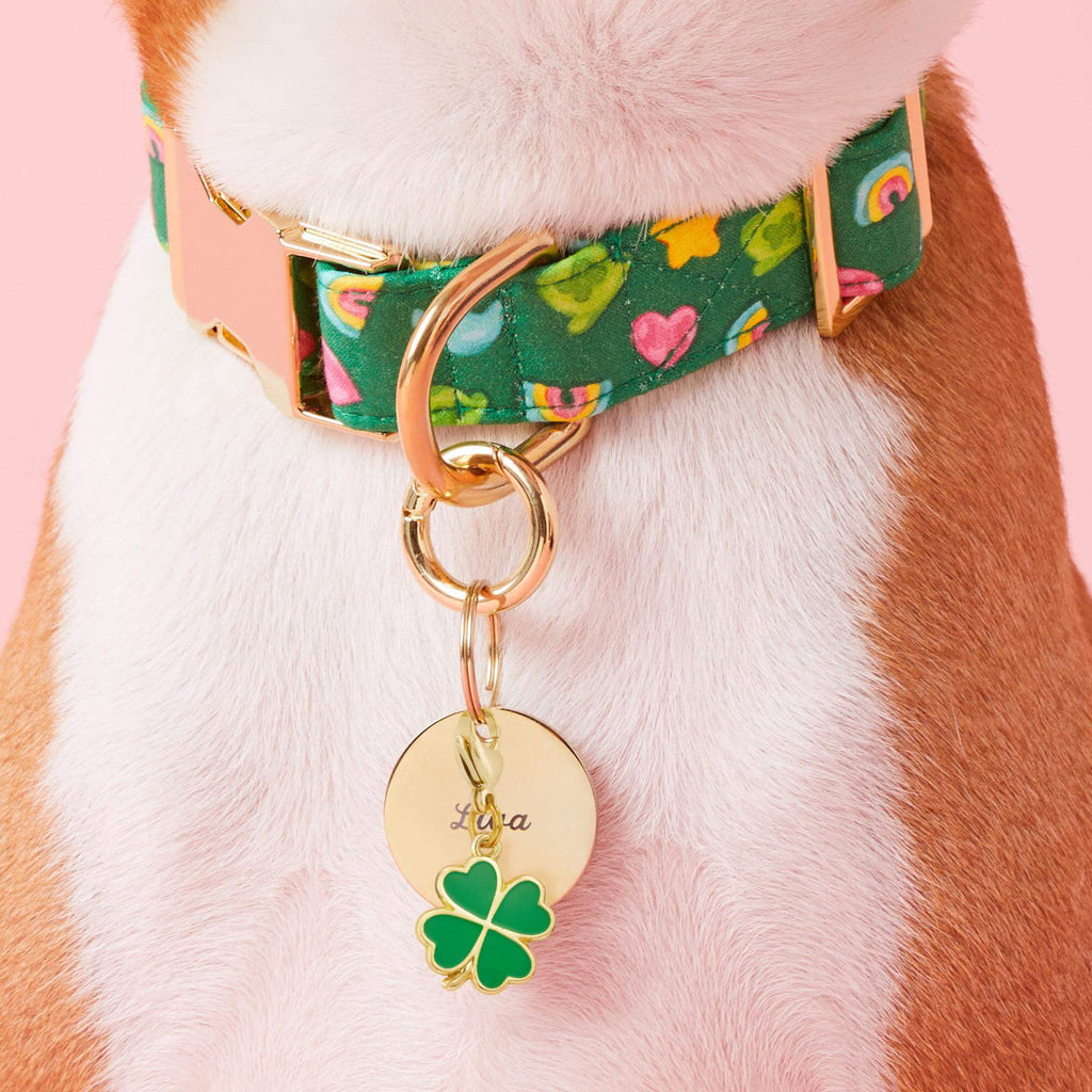 Lucky Clover Collar Charm