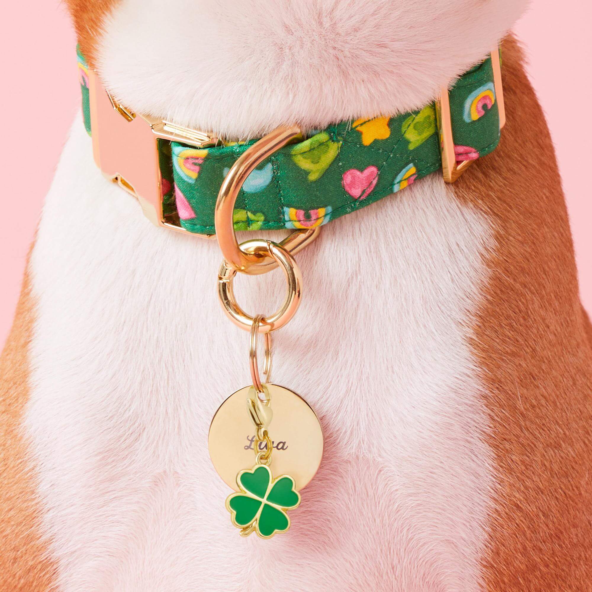 Lucky Clover Collar Charm