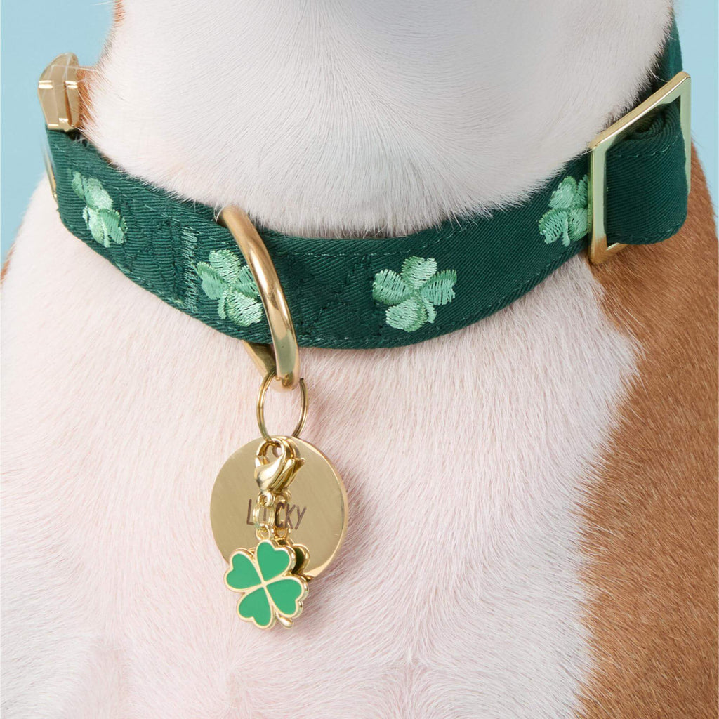 Lucky Clover Collar Charm