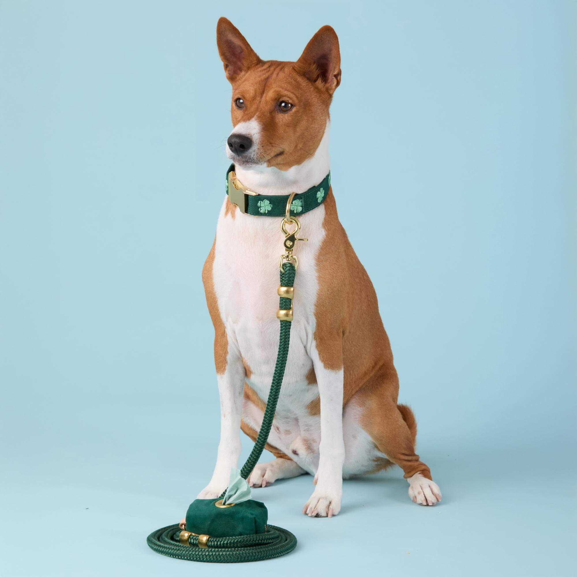 Clover Embroidered Collar Walk Set