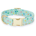Confetti Dots Dog Collar