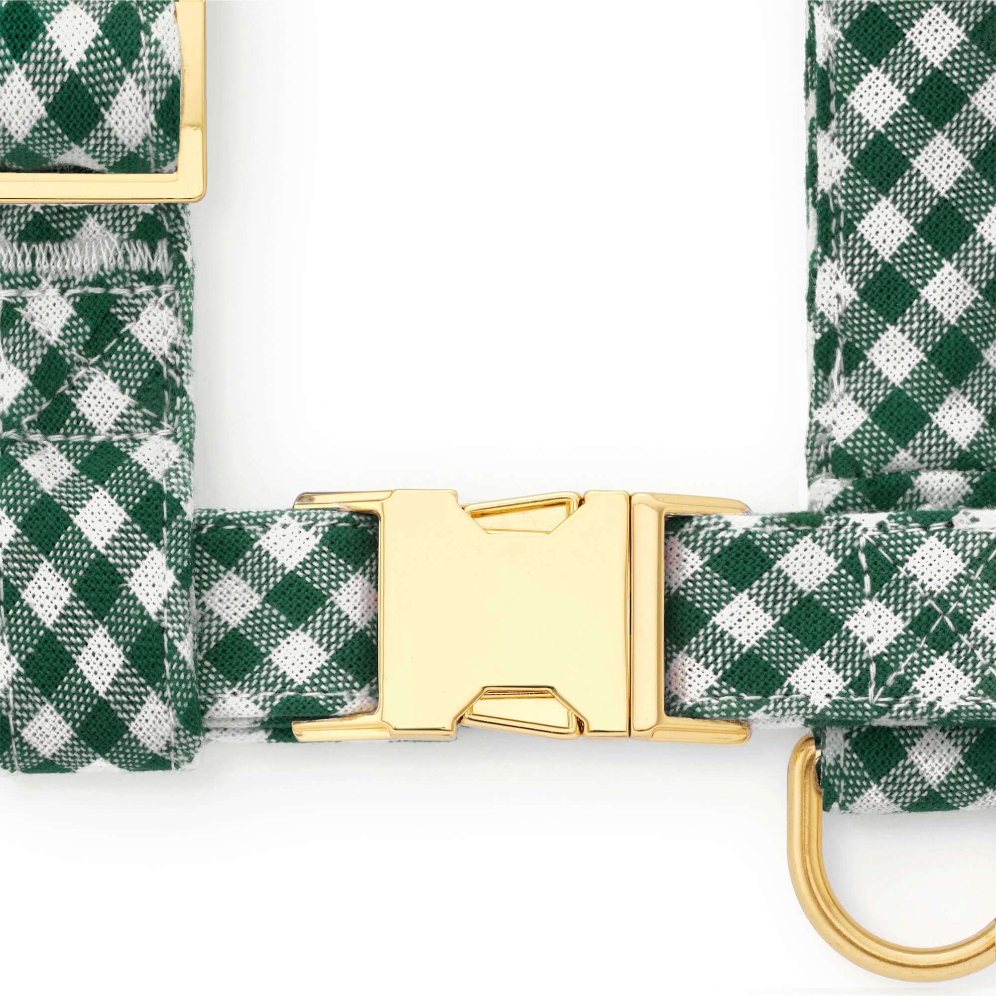 Evergreen Gingham Harness Walk Set