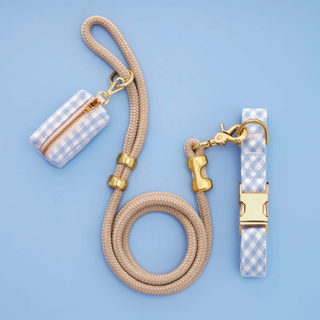 Sky Blue Gingham Collar Walk Set