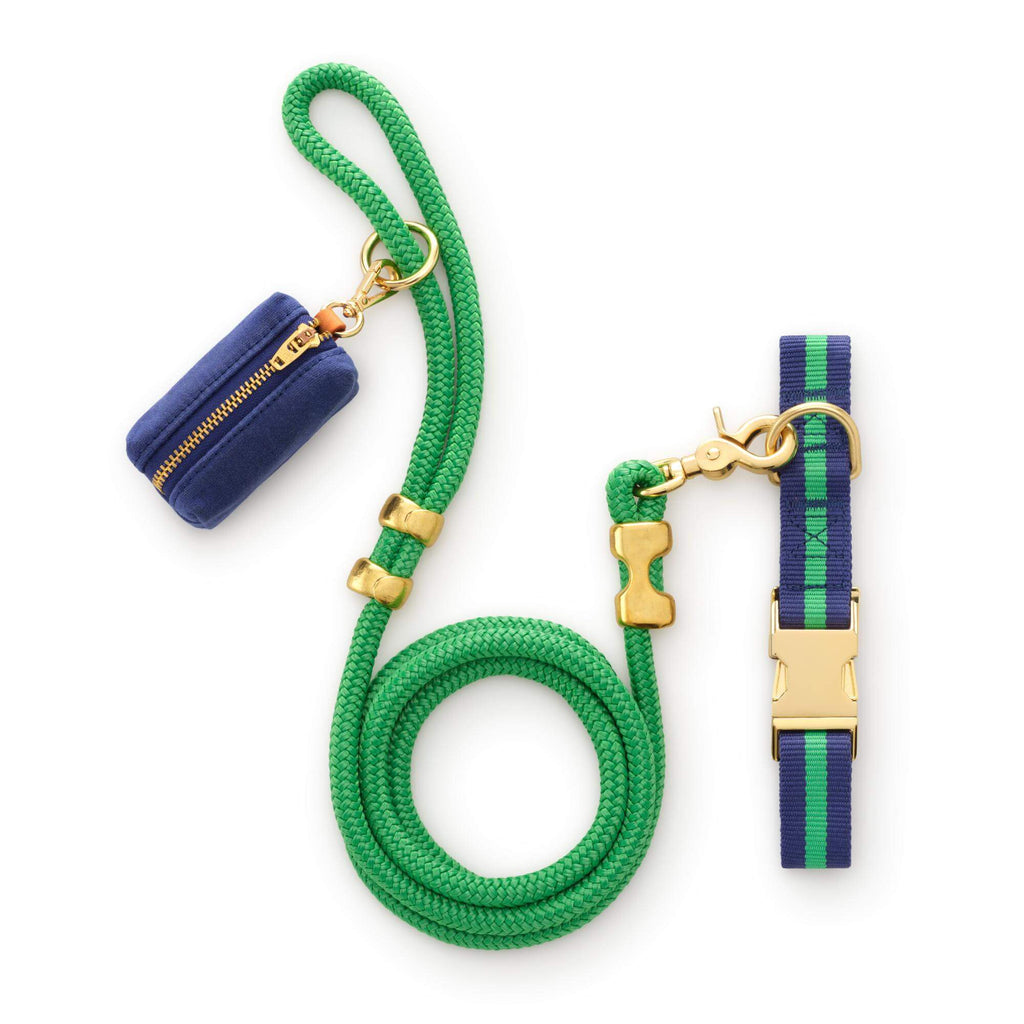 Camden Striped Webbing Collar Walk Set