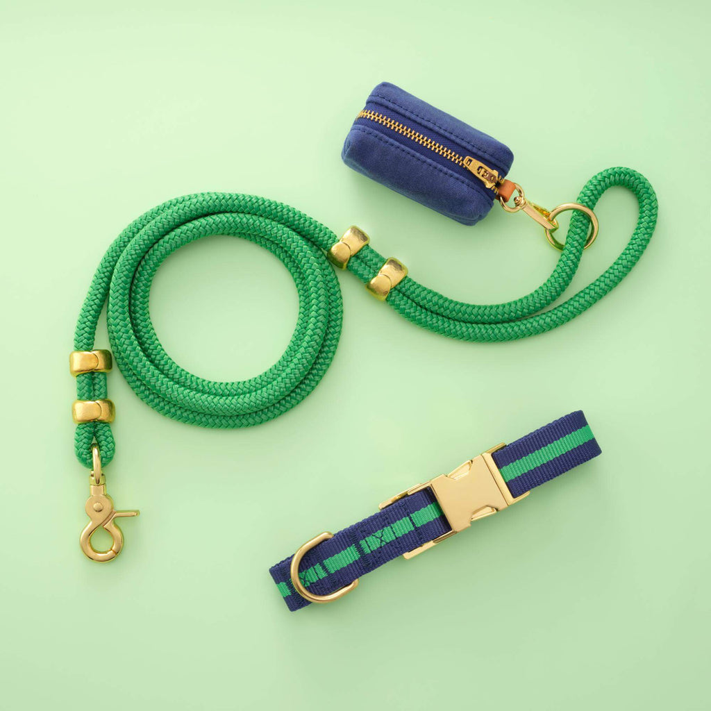 Camden Striped Webbing Collar Walk Set