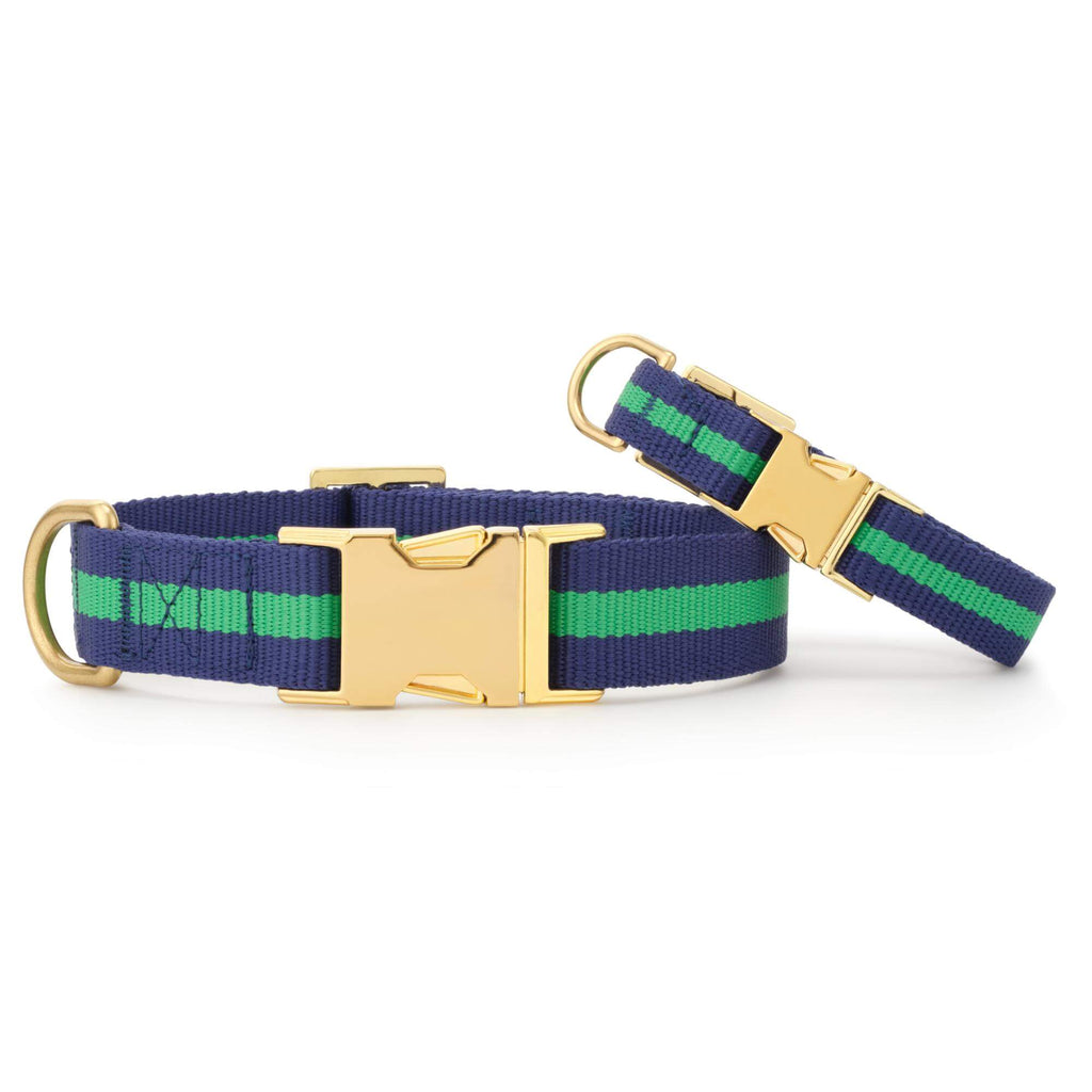 Camden Striped Webbing Dog Collar
