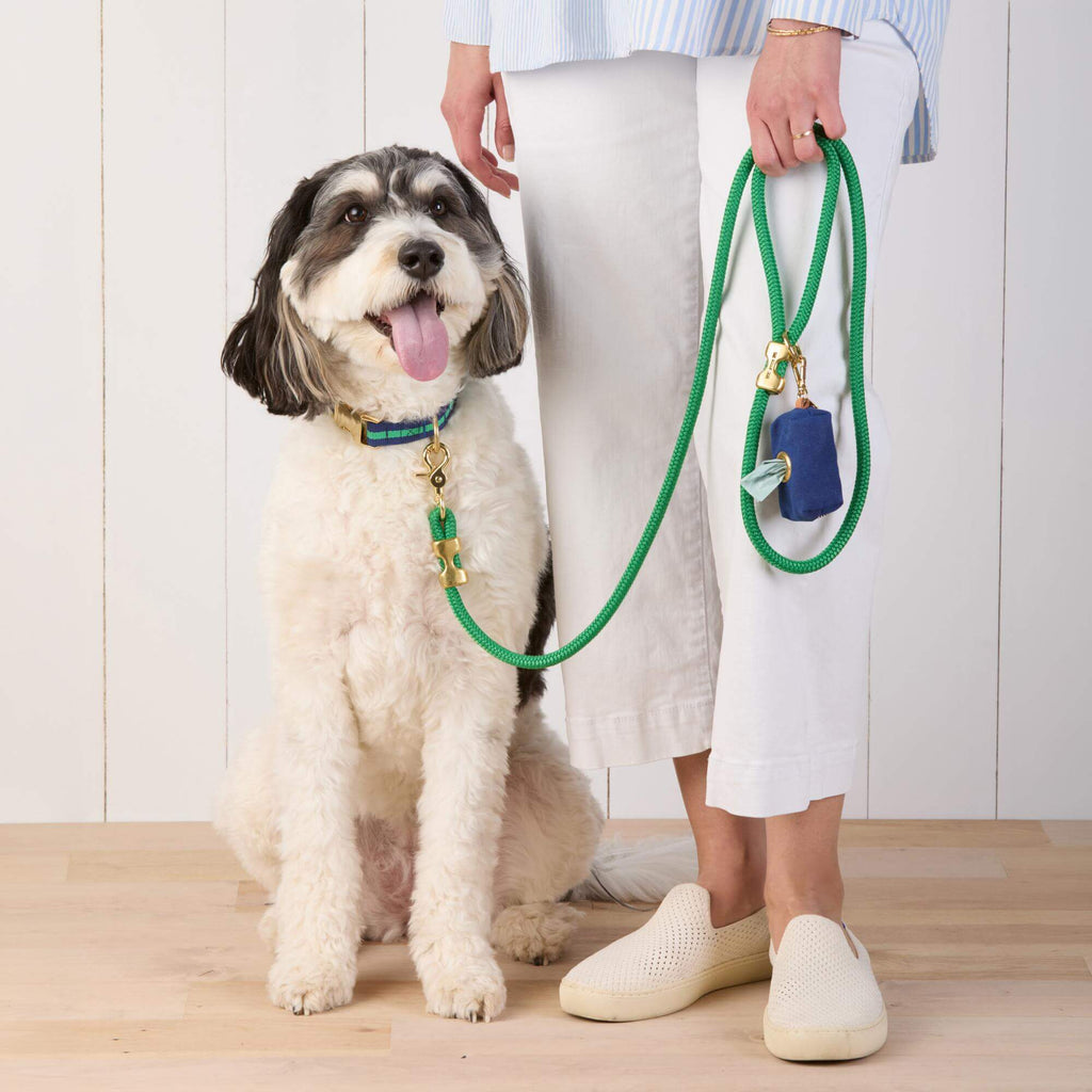 Camden Striped Webbing Collar Walk Set