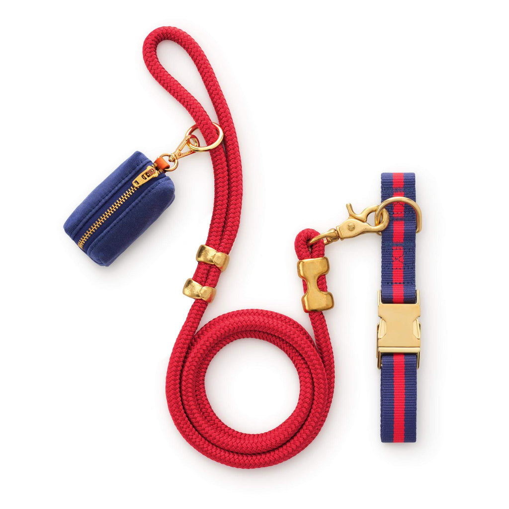 Mariner Striped Webbing Collar Walk Set