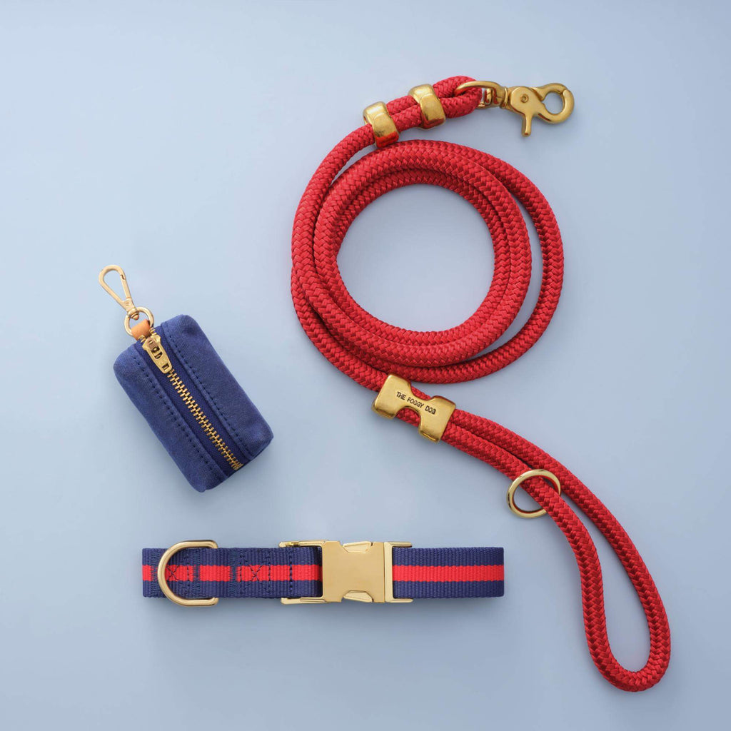 Mariner Striped Webbing Collar Walk Set