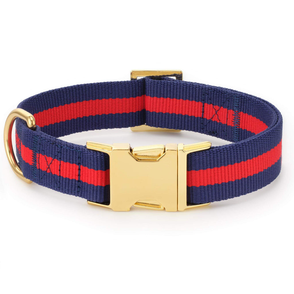 Mariner Striped Webbing Collar Walk Set