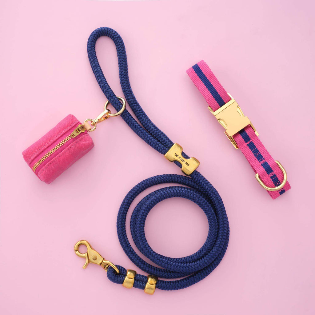 Sloane Striped Webbing Collar Walk Set