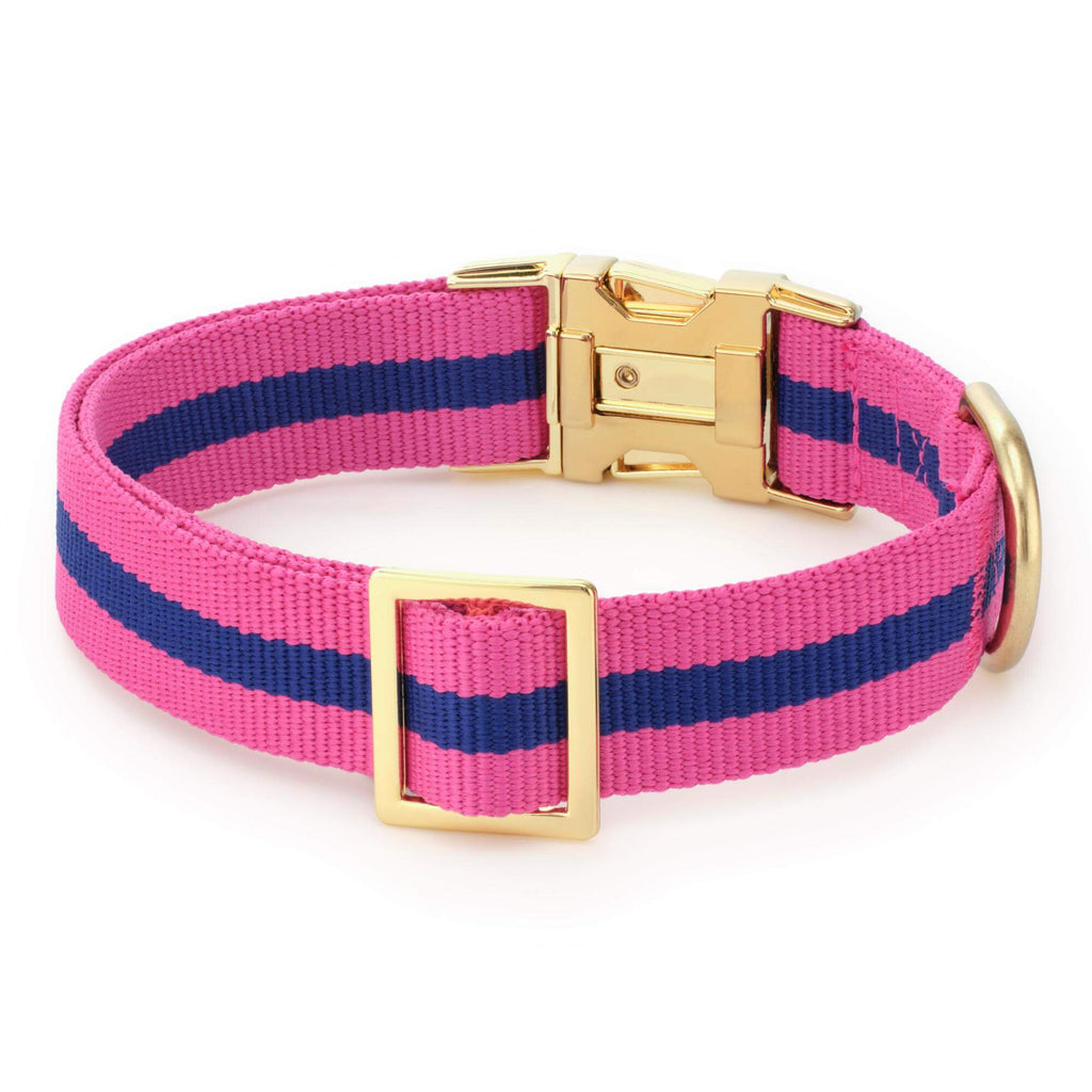 Sloane Striped Webbing Dog Collar