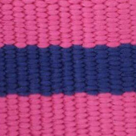 Sloane Striped Webbing Dog Collar