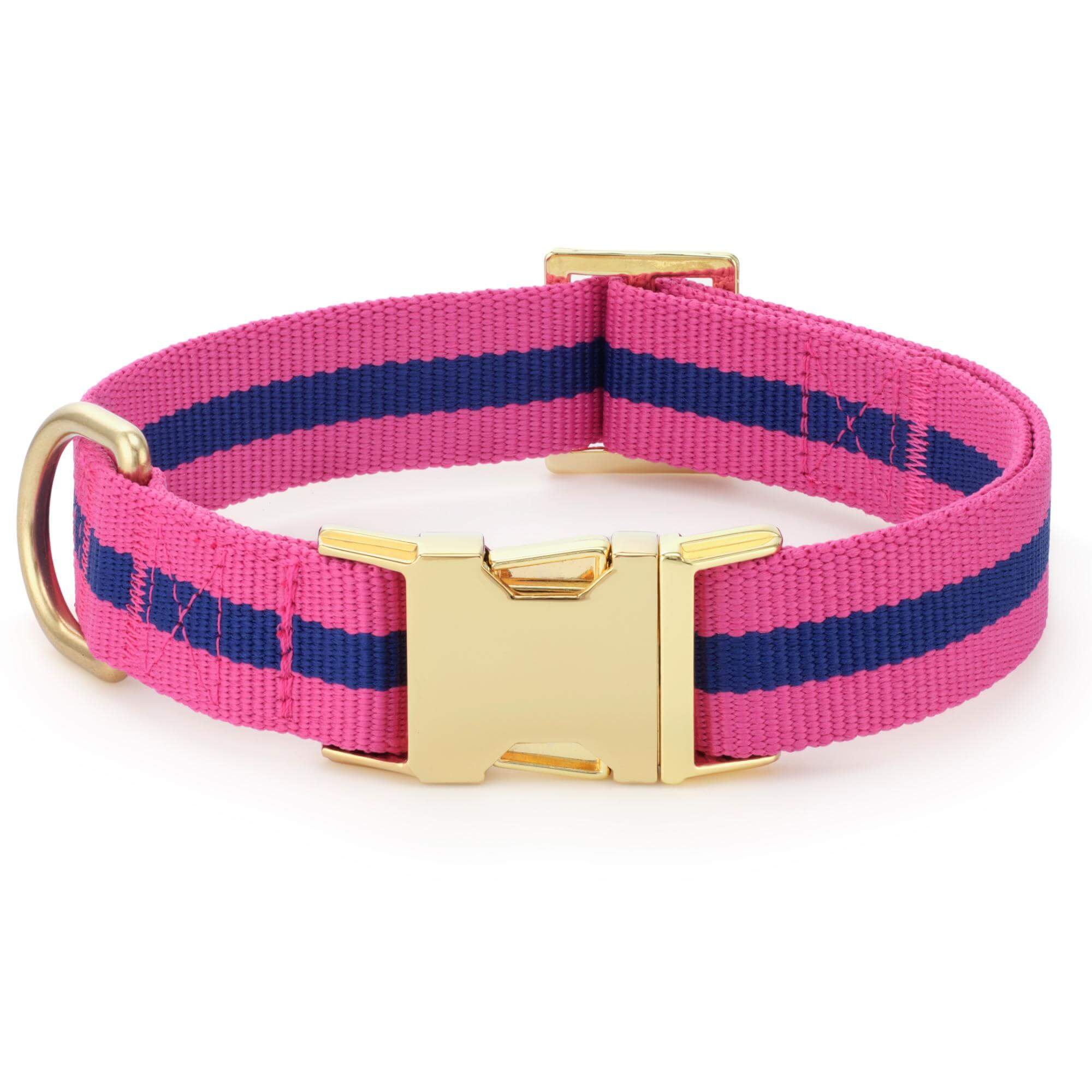 Sloane Striped Webbing Collar Walk Set