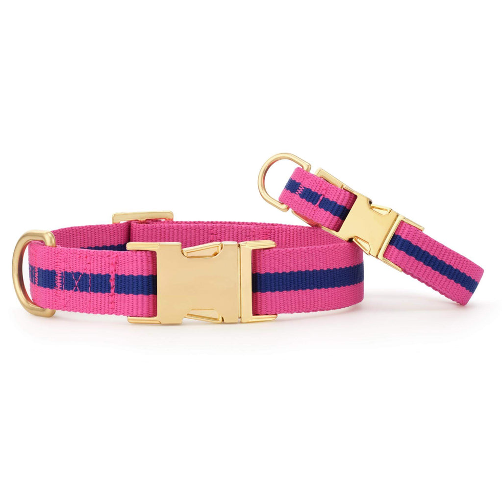 Sloane Striped Webbing Dog Collar