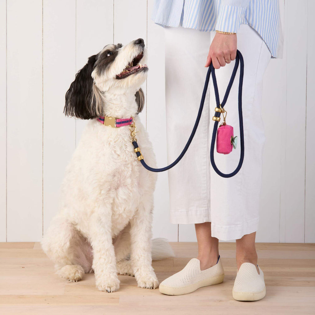 Sloane Striped Webbing Collar Walk Set
