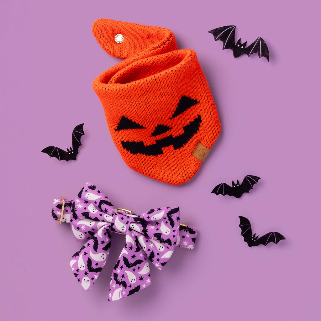 Jack-o’-Lantern Knit Dog Bandana