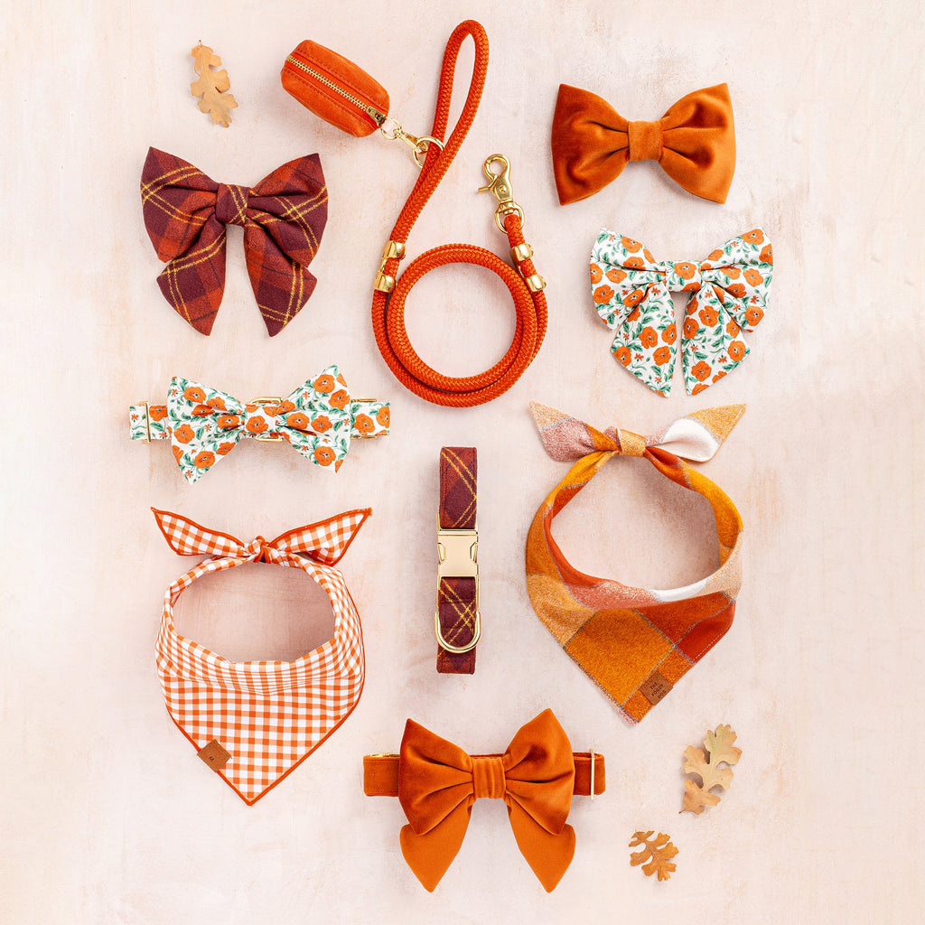 Pumpkin Velvet Dog Collar