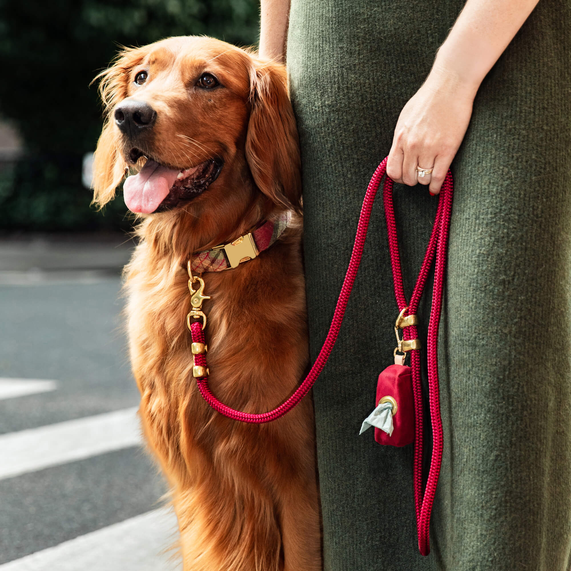 Orchard Plaid Flannel Collar Walk Set