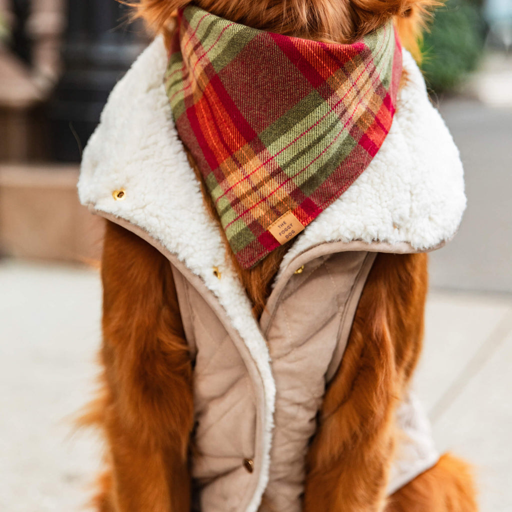 Fawn Sherpa-Lined Reversible Dog Jacket