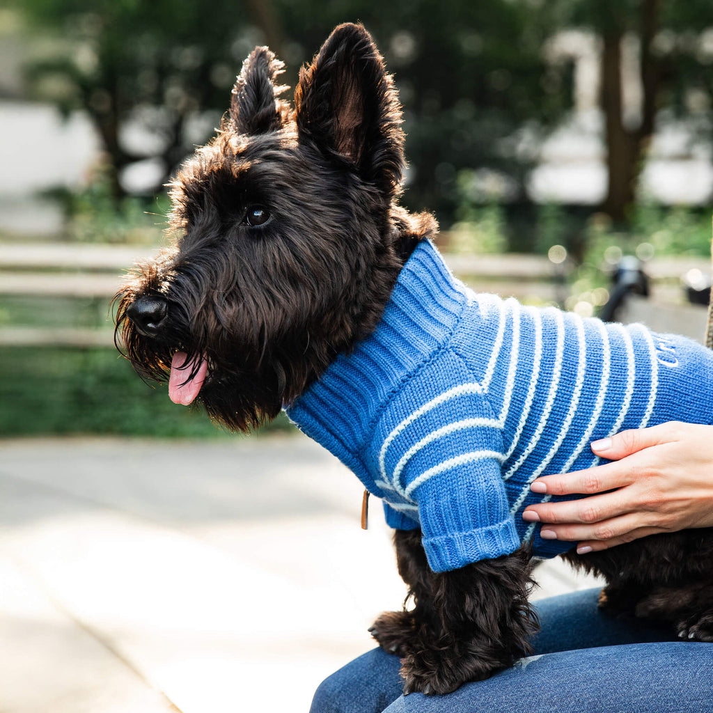 Blue Stripe Quarter-Zip Dog Sweater
