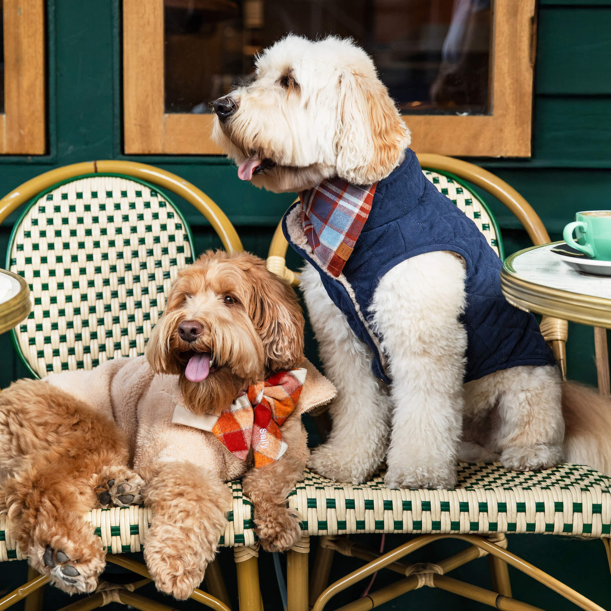 Navy Sherpa-Lined Reversible Dog Jacket