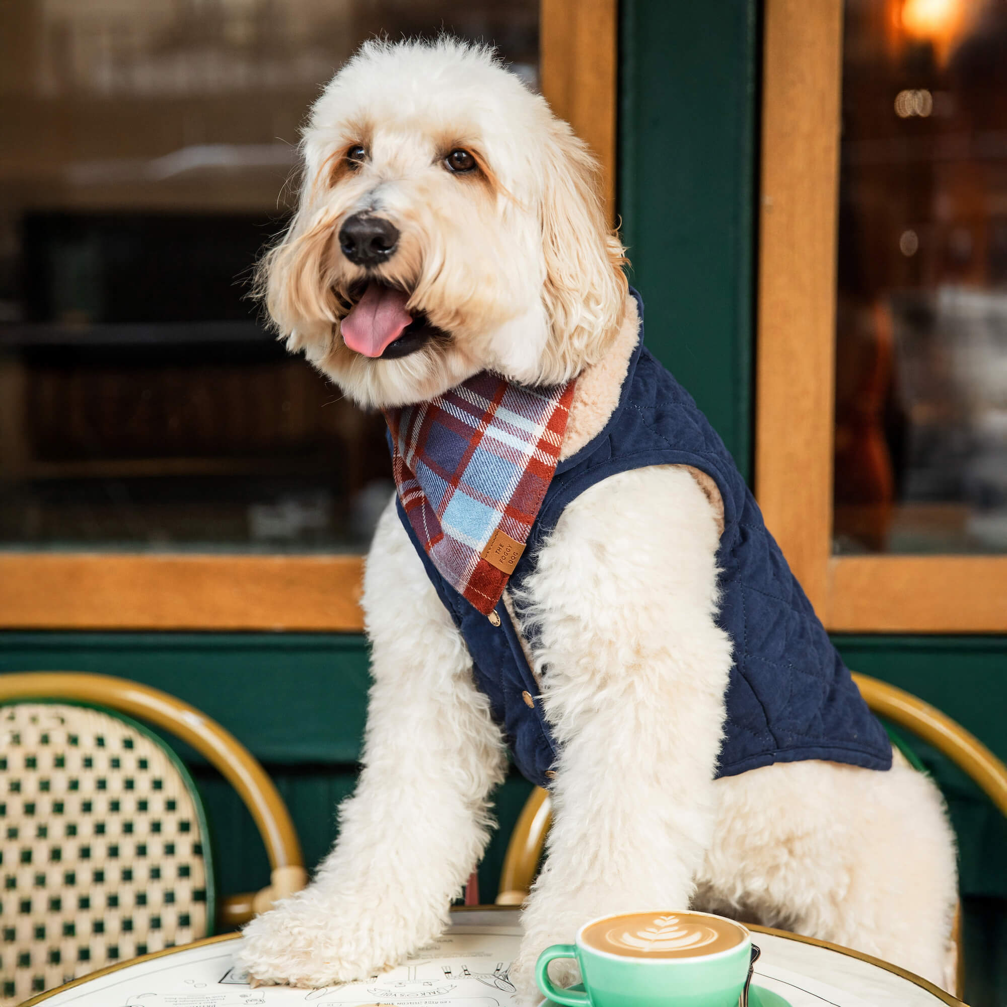 Navy Sherpa-Lined Reversible Dog Jacket