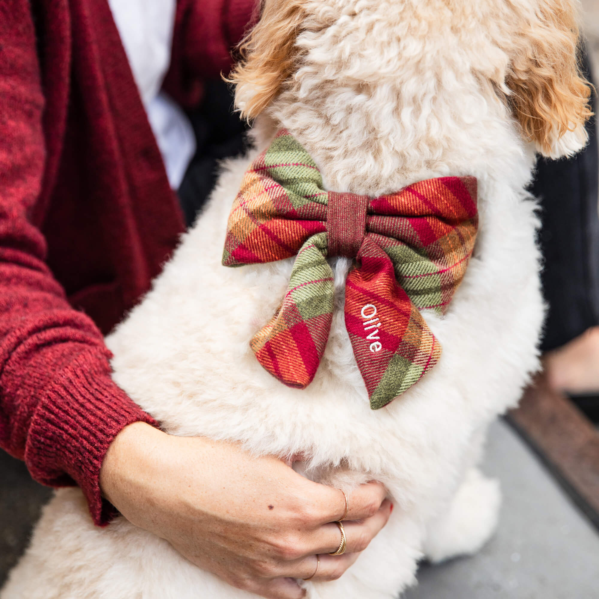 Orchard Plaid Flannel Lady Bow Collar