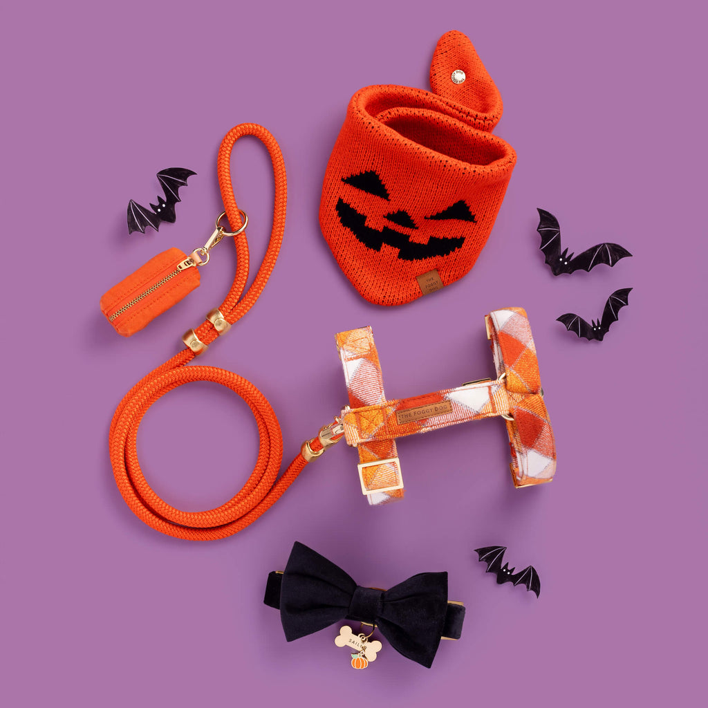Jack-o’-Lantern Knit Dog Bandana