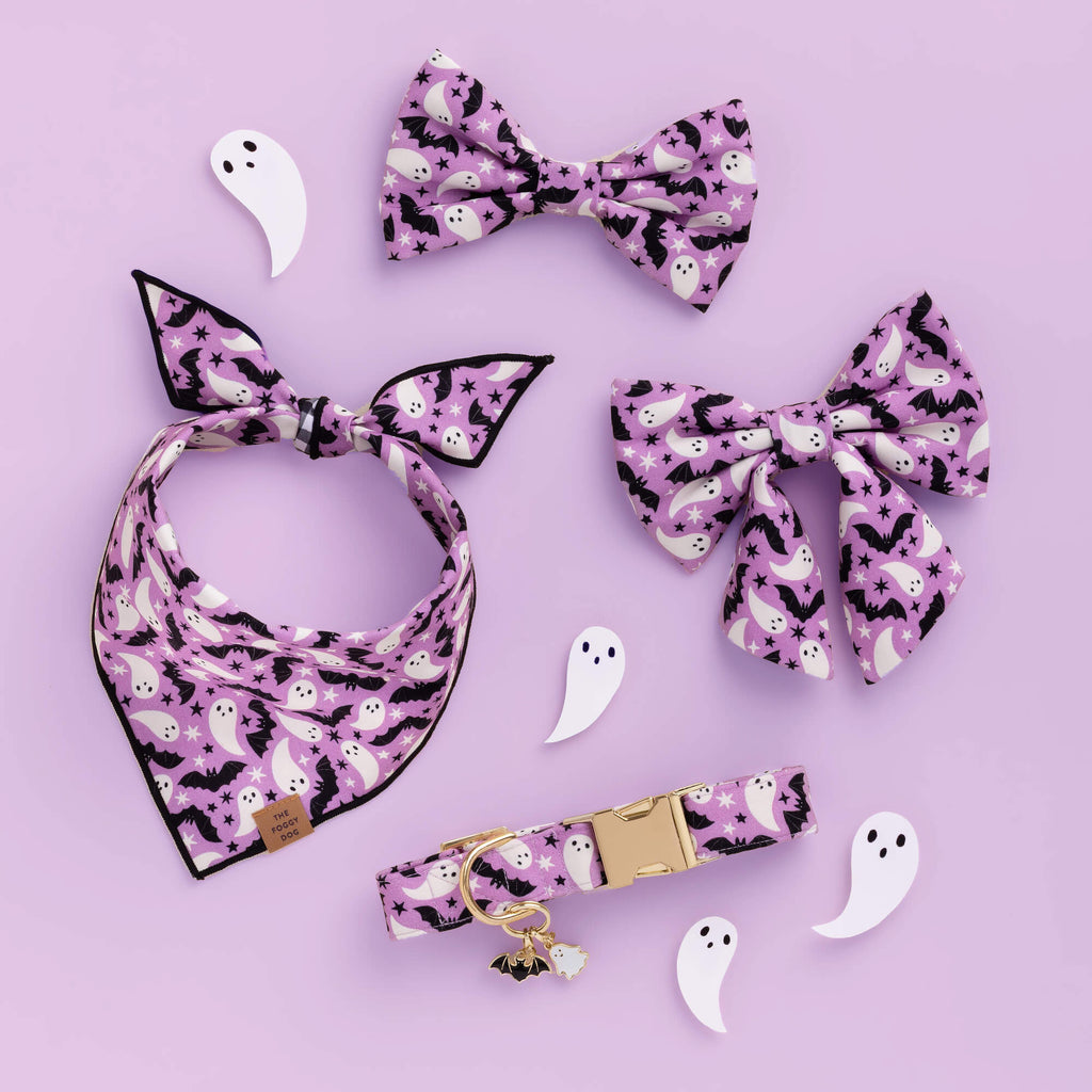 Spooky Season Collar Charm Set